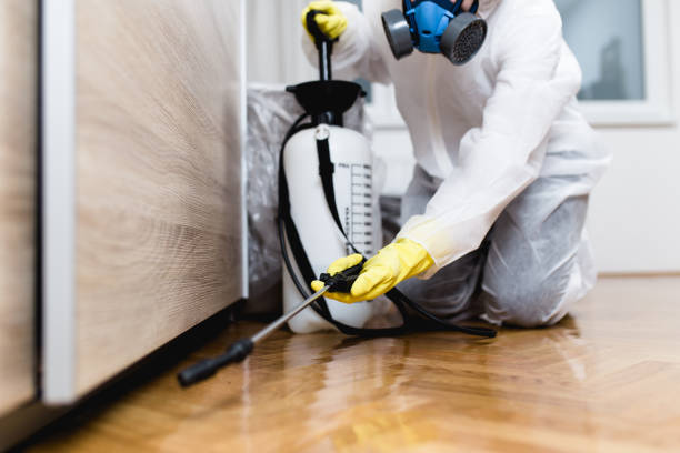Best Pest Inspection Near Me  in Greenville, MI