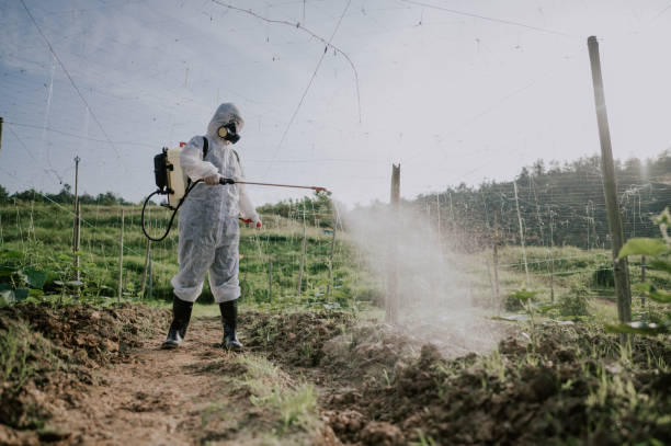 Best Local Pest Control Services  in Greenville, MI