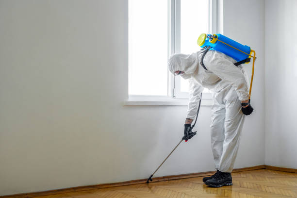 Reliable Greenville, MI Pest Control Solutions