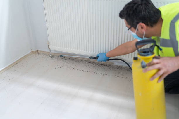 Best Flea Control Services  in Greenville, MI