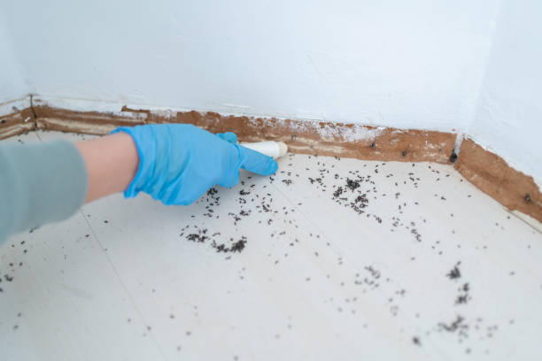 Best Commercial Pest Control Services  in Greenville, MI