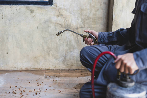 Best Emergency Pest Control  in Greenville, MI