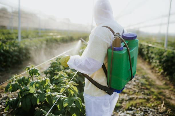 Best Wildlife Control Services  in Greenville, MI